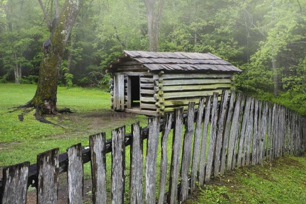 TN, Great Smoky Mts Fence and abandoned cabin